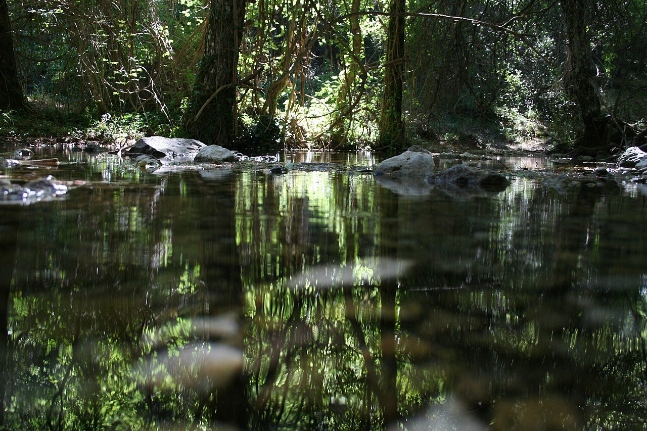 Nacimiento del Río Mundo