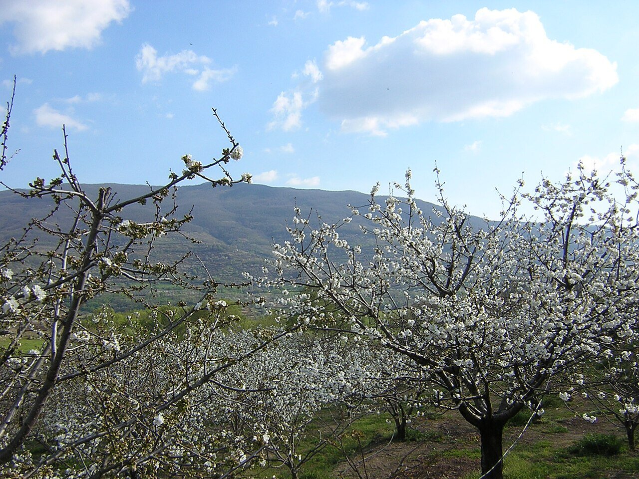 Valle del Jerte