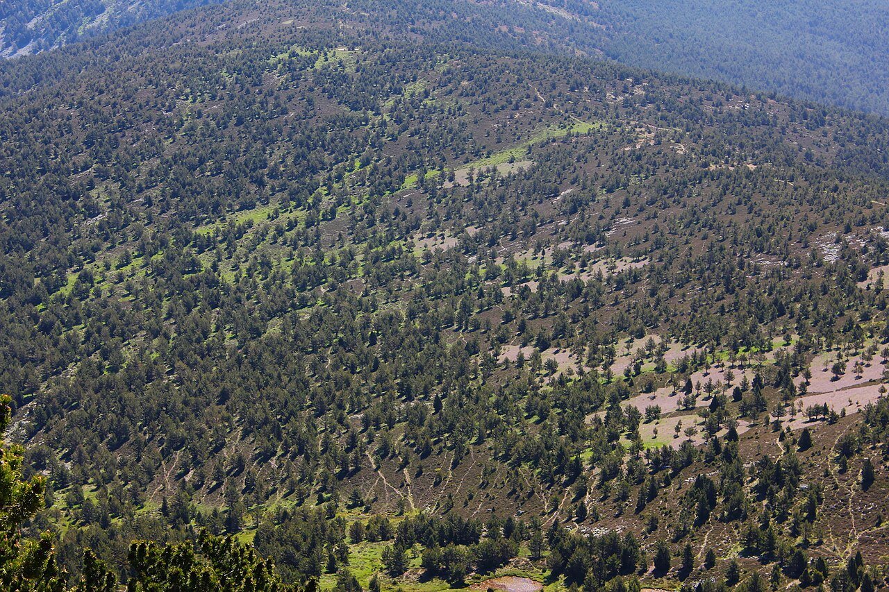 La Sierra de Cebollera